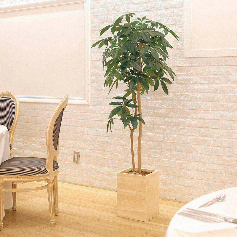 アートクリエーション 光の楽園 フェイクグリーン ウッドボックスパキラ 1.6m 2309R450 1個（ご注文単位1個）【直送品】