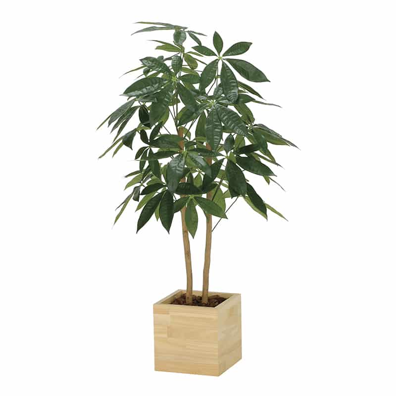 アートクリエーション 光の楽園 フェイクグリーン ウッドボックスパキラ 1.0m 2305R230 1個（ご注文単位1個）【直送品】