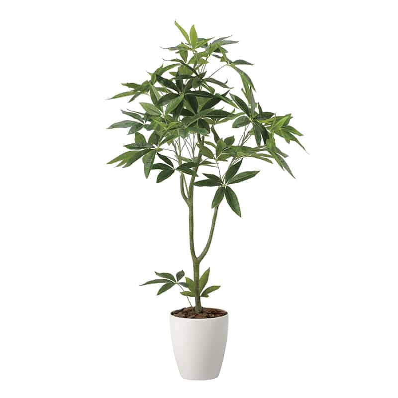 アートクリエーション 光の楽園 フェイクグリーン フレッシュパキラ 1.35m 2321R300 1個（ご注文単位1個）【直送品】