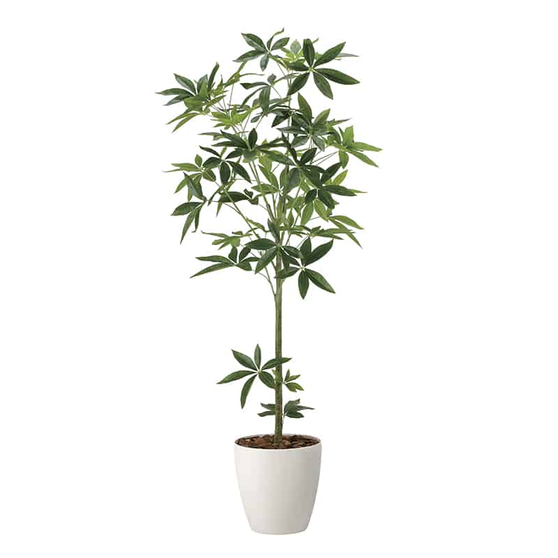 アートクリエーション 光の楽園 フェイクグリーン フレッシュパキラ 1.7m 2322R430 1個（ご注文単位1個）【直送品】