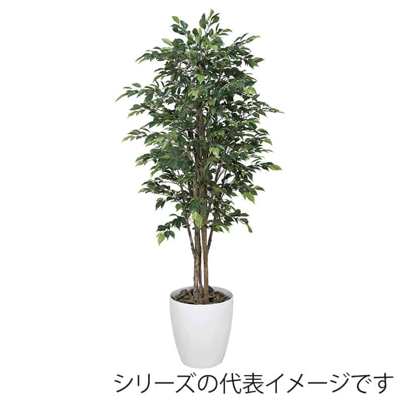 アートクリエーション 光の楽園 フェイクグリーン ロイヤルベンジャミン 1.6m 150R580 1個（ご注文単位1個）【直送品】