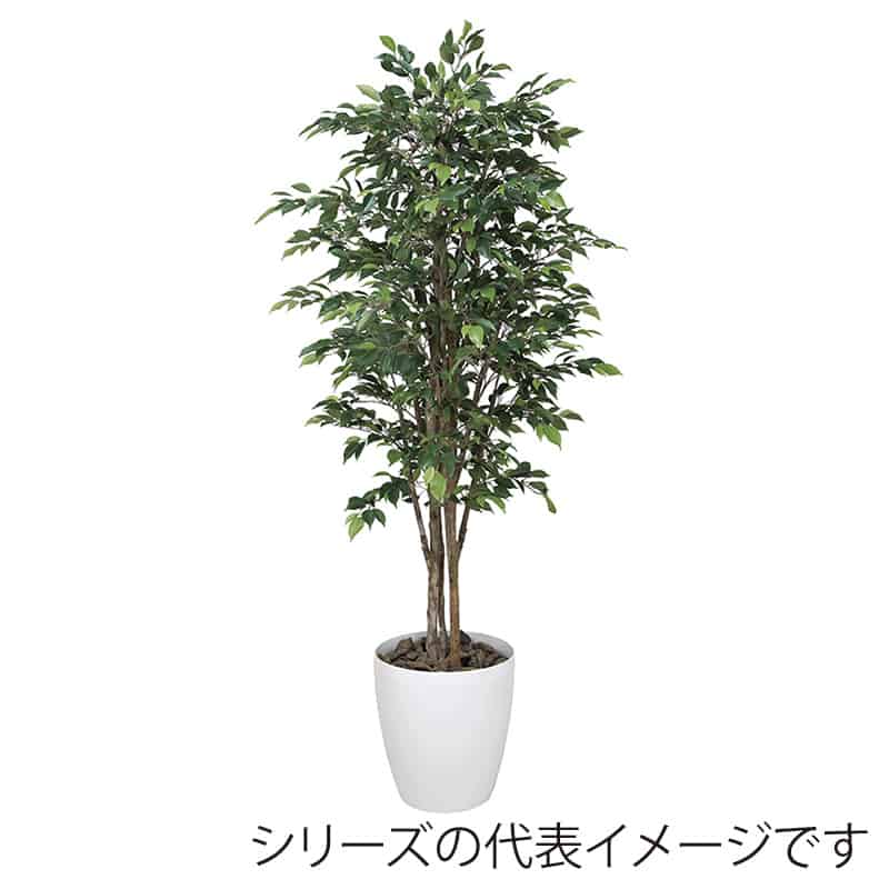 アートクリエーション 光の楽園 フェイクグリーン ロイヤルベンジャミン 1.8m 151R680 1個（ご注文単位1個）【直送品】