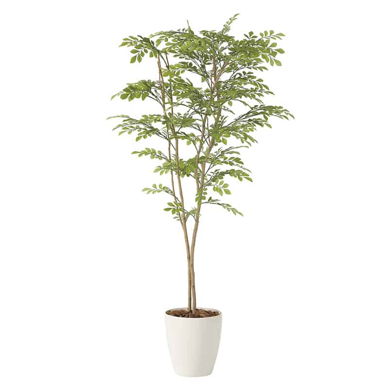 アートクリエーション 光の楽園 フェイクグリーン ライトトネリコ 1.6m 2231R340 1個（ご注文単位1個）【直送品】