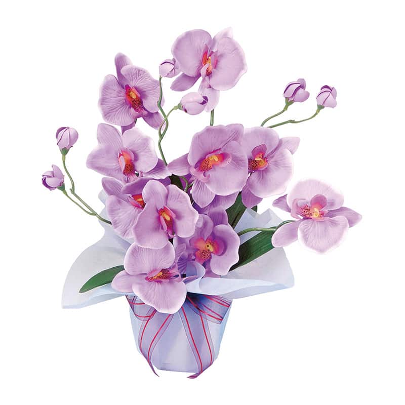 アートクリエーション 光の楽園 アートフラワー ホットファレノ 68R30 1個（ご注文単位1個）【直送品】