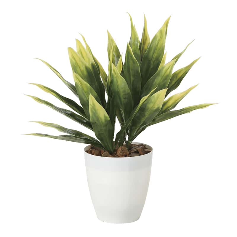 アートクリエーション 光の楽園 フェイクグリーン ドラセナ ポリ製 2267R35 1個（ご注文単位1個）【直送品】