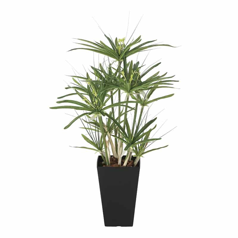 アートクリエーション 光の楽園 フェイクグリーン パピルス 60cm 2296R100 1個（ご注文単位1個）【直送品】