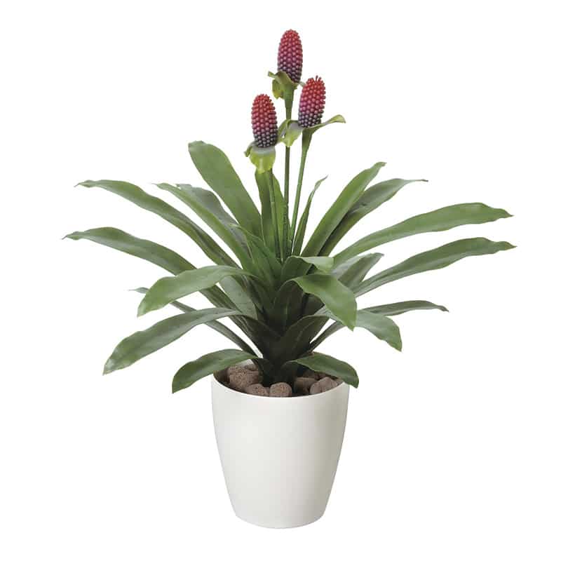 アートクリエーション 光の楽園 フェイクグリーン マガベ 花付き ポリ製 223R70 1個（ご注文単位1個）【直送品】