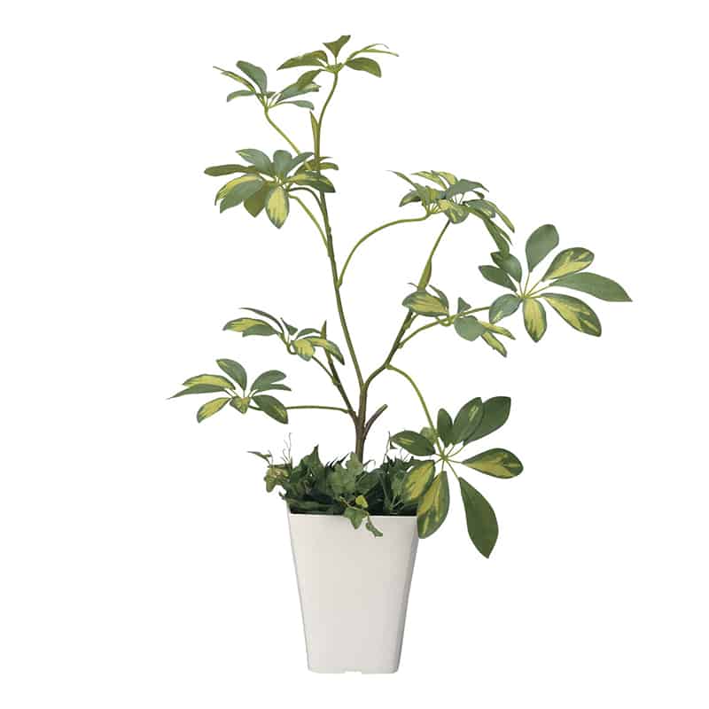 アートクリエーション 光の楽園 フェイクグリーン シェフレラ 212R70 1個（ご注文単位1個）【直送品】