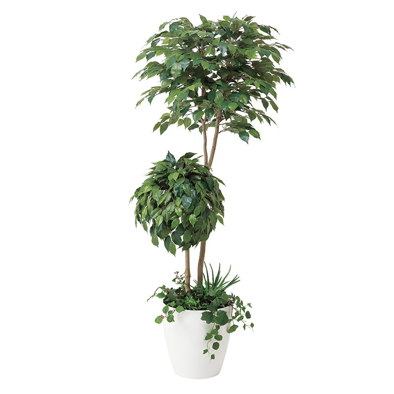 アートクリエーション 光の楽園 フェイクグリーン ベンジャミン ダブルフェイス 1.8m 植栽付き 413A500 1個（ご注文単位1個）【直送品】