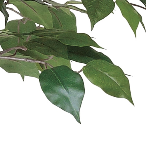 アートクリエーション 光の楽園 フェイクグリーン ベンジャミン ダブルフェイス 1.8m 植栽付き 413A500 1個(ご注文単位1個)【直送品】