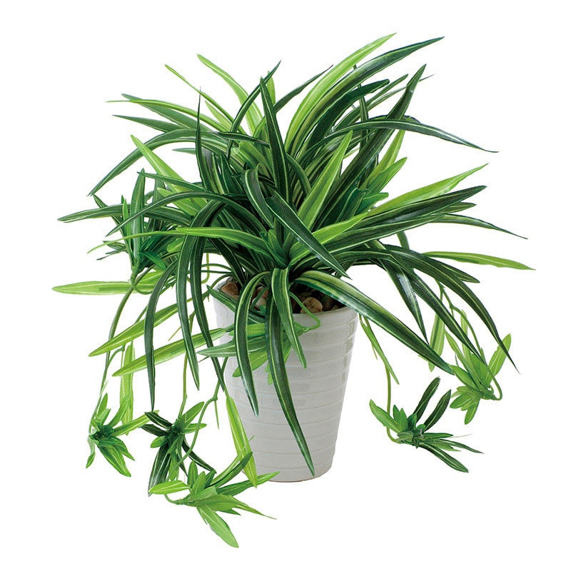 アートクリエーション 光の楽園 フェイクグリーン ドラセナ丸ポット 439A60 1本（ご注文単位1本）【直送品】