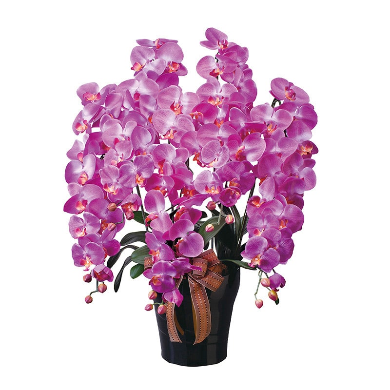 アートクリエーション 光の楽園 アートフラワー ロイヤル胡蝶蘭 5本立ち L 446A300 1個（ご注文単位1個）【直送品】
