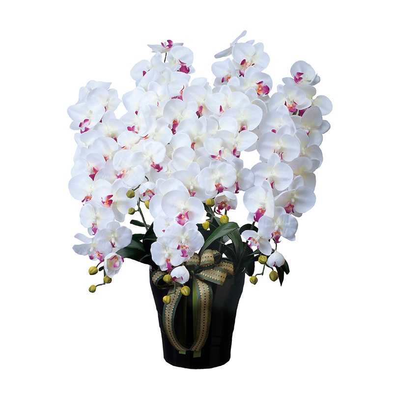 アートクリエーション 光の楽園 アートフラワー ロイヤル胡蝶蘭 5本立ち W／AB 447A300 1個（ご注文単位1個）【直送品】