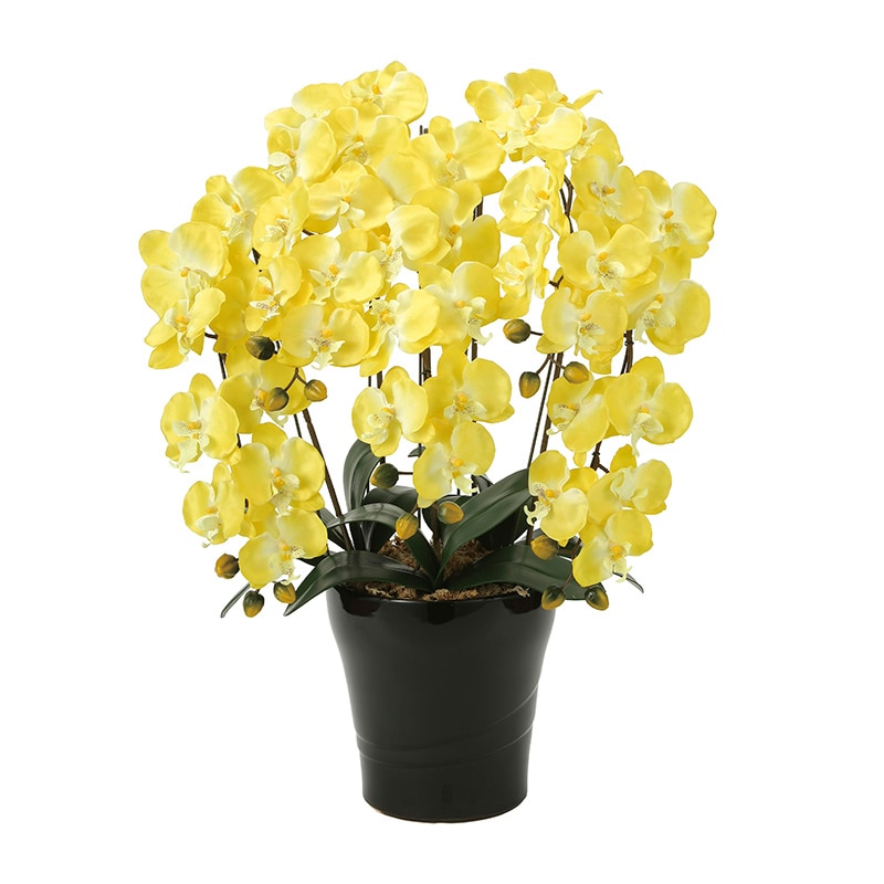 アートクリエーション 光の楽園 アートフラワー クイーン胡蝶蘭 5本立ち Y 448A150 1個（ご注文単位1個）【直送品】