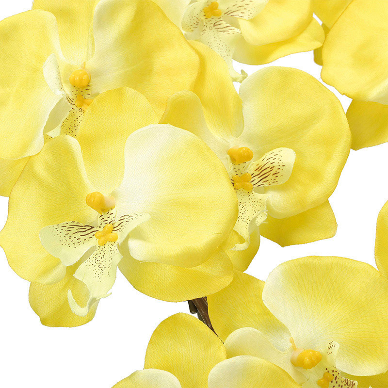 アートクリエーション 光の楽園 アートフラワー クイーン胡蝶蘭 5本立ち Y 448A150 1個(ご注文単位1個)【直送品】