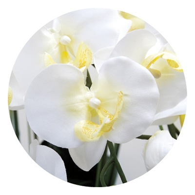 アートクリエーション 光の楽園 アートフラワー キング胡蝶蘭 7本立ち W 451A200 1個(ご注文単位1個)【直送品】