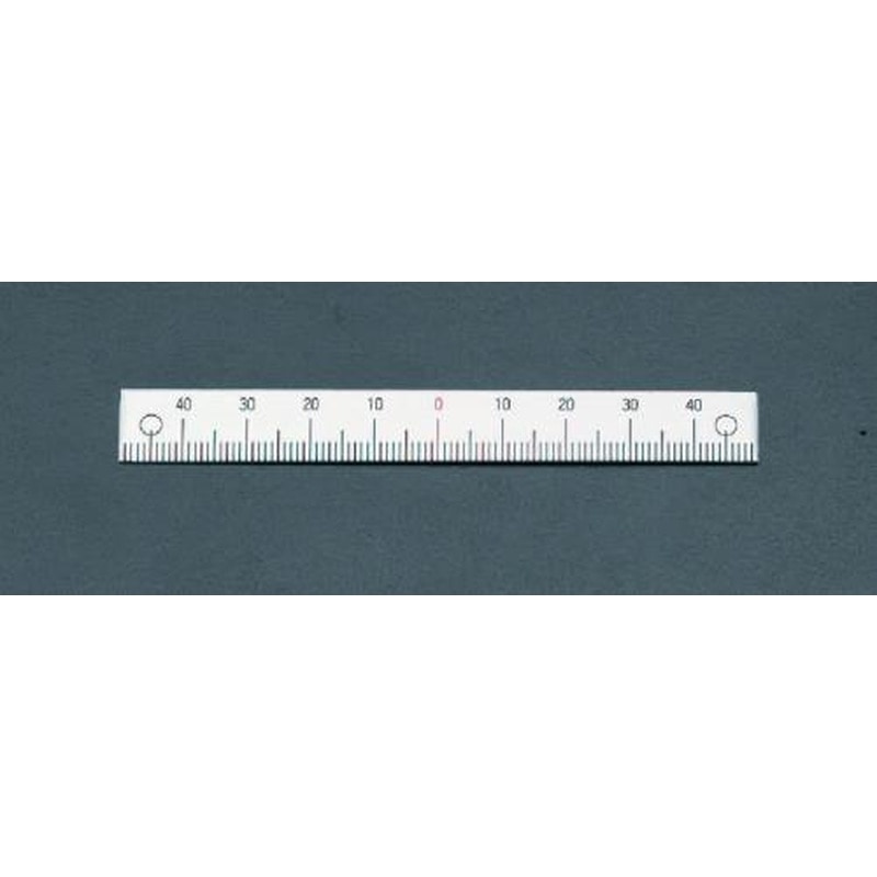 エスコ EA948J-22 200mm［中心振分/下目盛]スケール 1個（ご注文単位1個）【直送品】