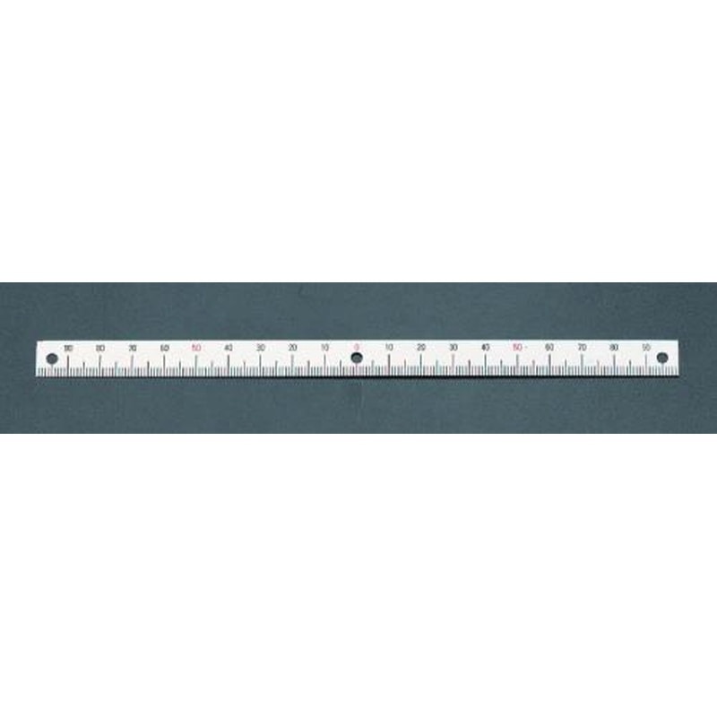 エスコ EA948J-122 200mm［中心振分/下目盛]スケール 1個（ご注文単位1個）【直送品】