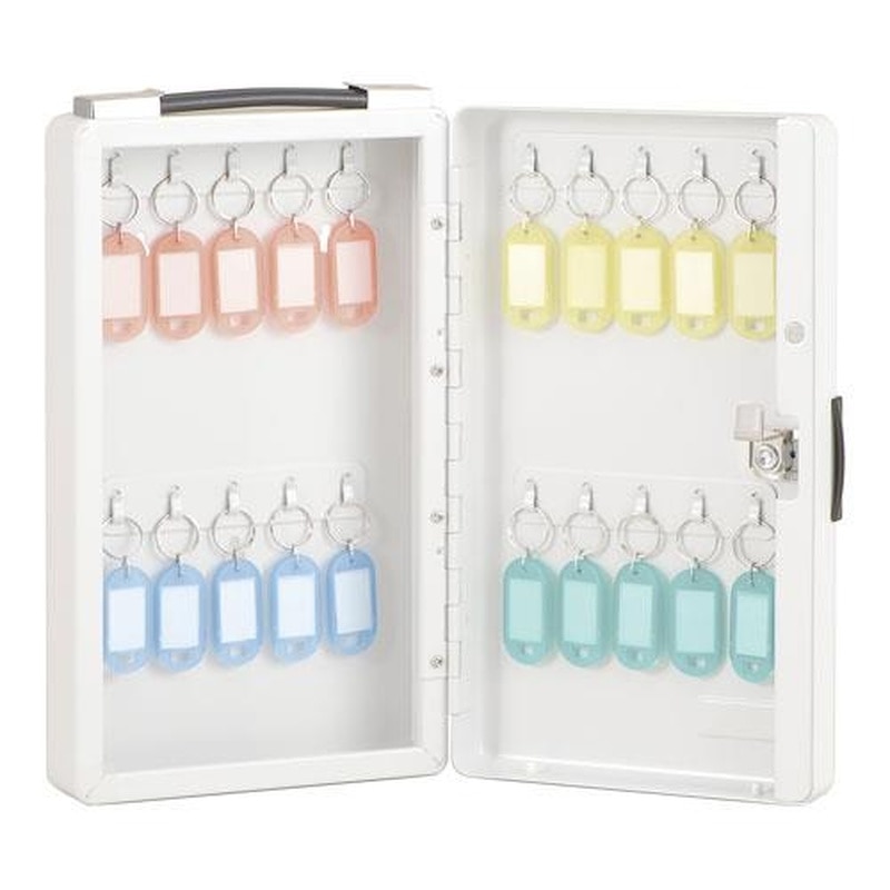 エスコ EA956VG-2 168x65x287mmキーボックス(20本用) 1個(ご注文単位1個)【直送品】