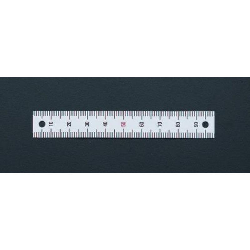 エスコ EA948J-221 50mm［垂直/下方向]スケール(ネジ穴付) 1個（ご注文単位1個）【直送品】