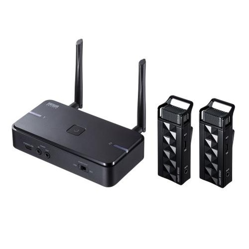 エスコ EA764AB-173 ワイヤレスマイクシステムセット(マイク2台付) 1個（ご注文単位1個）【直送品】