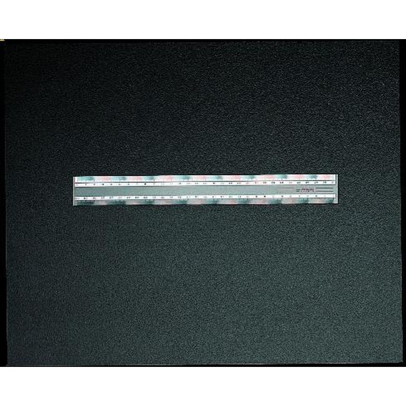 エスコ EA720YG-16 16cm定規 1個（ご注文単位1個）【直送品】
