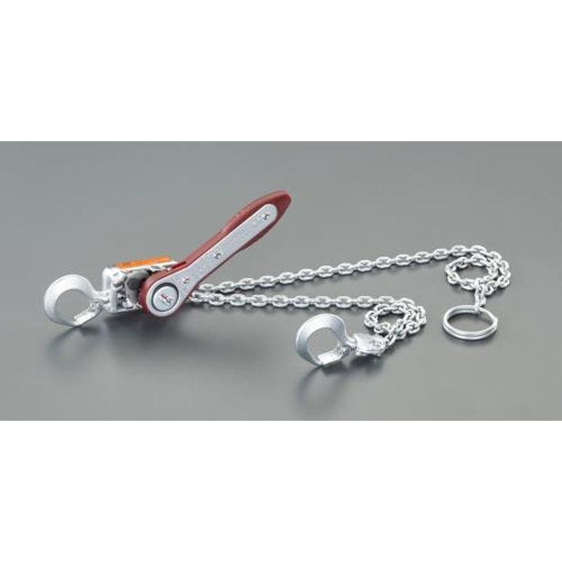 エスコ EA988CA-1 100kgレバーホイスト 1個（ご注文単位1個）【直送品】