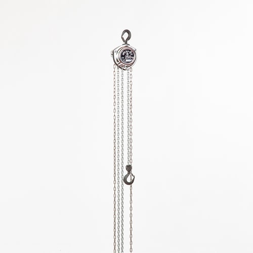 エスコ EA987AA-20A 500kgx2.5m チェーンブロック 1台 （ご注文単位1台）【直送品】