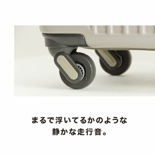 エスコ EA927BG-62 335x485x215mm/22L キャリーケース 1個(ご注文単位1個)【直送品】