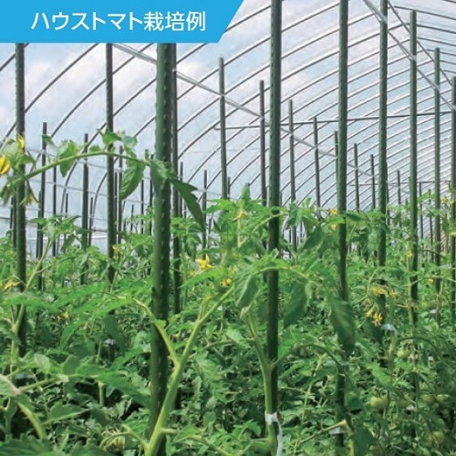 エスコ EA628ZZ-53B φ16x1500mm ネット用支柱(イボ付/25本) 1個(ご注文単位1個)【直送品】