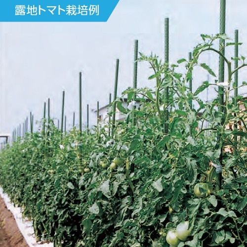 エスコ EA628ZZ-53B φ16x1500mm ネット用支柱(イボ付/25本) 1個(ご注文単位1個)【直送品】