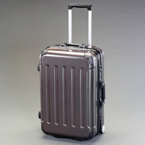 エスコ EA927DF-2A 480x300x700(H)mm/100L キャリーケース 1個 （ご注文単位1個）【直送品】