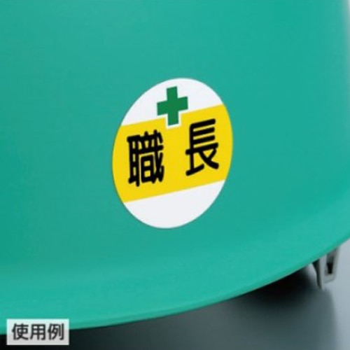 エスコ EA983AN-69 φ35mm ヘルメットステッカー(移動式クレーン 5t以上/2枚) 1組 （ご注文単位1組）【直送品】