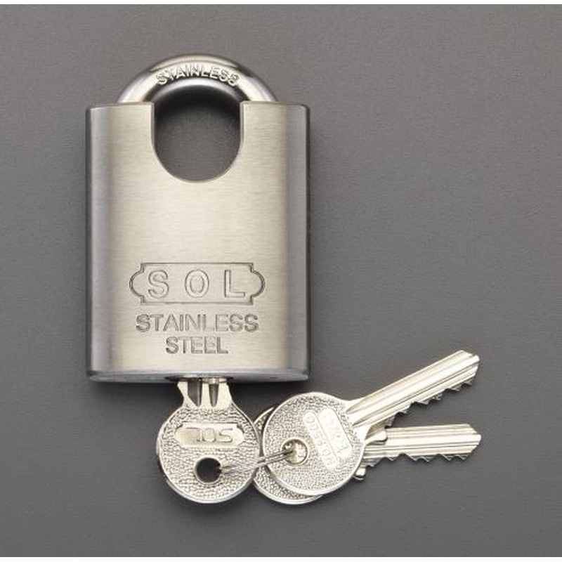 エスコ EA983TL-1 50mmパーフェクトロック(ステンレス製) 1個(ご注文単位1個)【直送品】