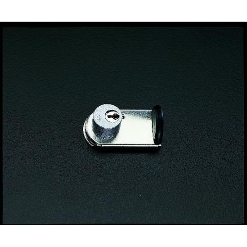 エスコ EA983TX-2 窓サッシ補助錠(鍵付) 1個（ご注文単位1個）【直送品】