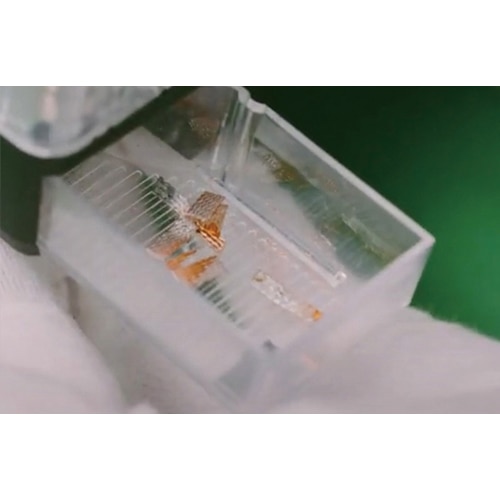 エスコ EA323C-1 ウィックカッター 1個 （ご注文単位1個）【直送品】