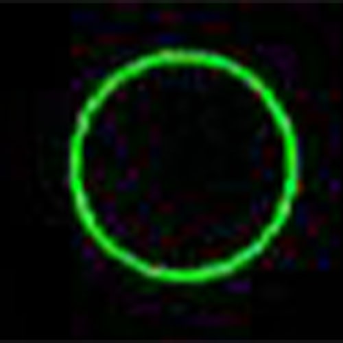 エスコ EA780XP-64S 13.2x151.5mm グリーンレーザーポインタ-(充電池セット) 1セット （ご注文単位1セット）【直送品】