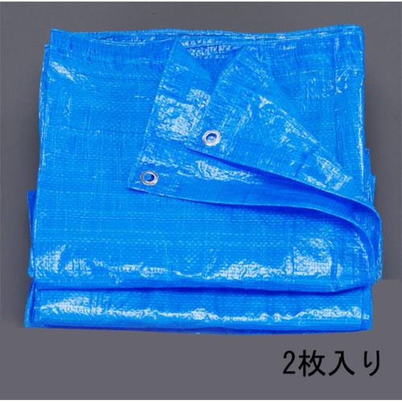 エスコ EA911AB-4 10x10m/0.06mmブルーシート(2枚) 1個（ご注文単位1個）【直送品】