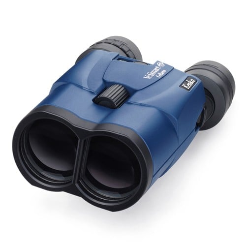 エスコ EA757AD-95 x15/42mm 双眼鏡(手振れ防止) 1個 （ご注文単位1個）【直送品】