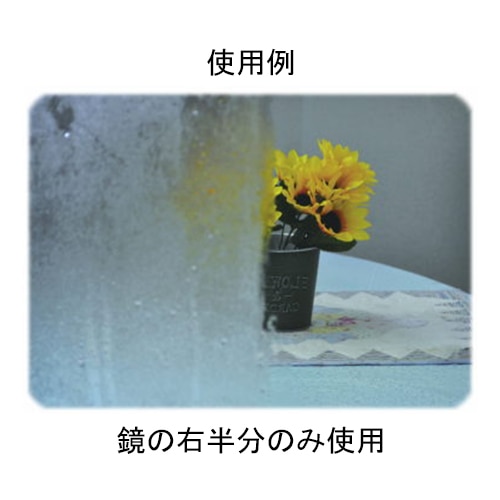 エスコ EA922AJ-319 260g ガラス洗浄剤(コーティング剤入) 1本 (ご注文単位1本)【直送品】