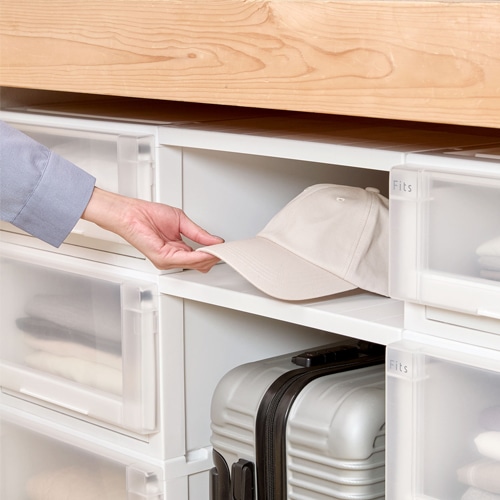 エスコ EA506MA-15A 440x740x230mm 引出し式収納ケース(2個) 1セット （ご注文単位1セット）【直送品】