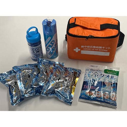 エスコ EA999ZW-2 熱中症応急処置キット 1セット (ご注文単位1セット)【直送品】