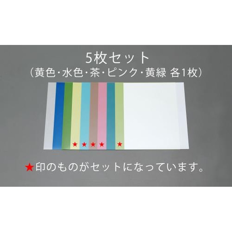 エスコ EA366MR 5枚組超精密仕上研磨シート 1個（ご注文単位1個）【直送品】