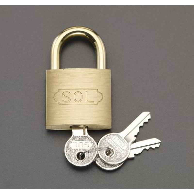 エスコ EA983TC-5 35mmシリンダー錠 1個（ご注文単位1個）【直送品】