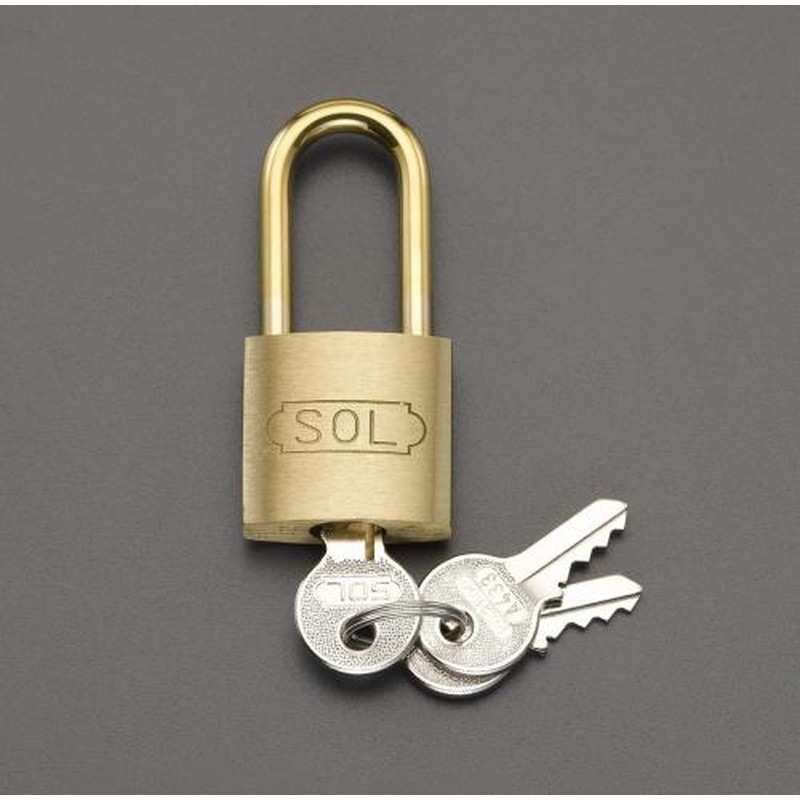 エスコ EA983TC-44 30mmシリンダー錠(30mm吊長) 1個（ご注文単位1個）【直送品】