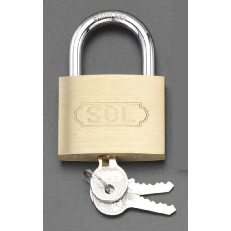 エスコ EA983TC-53 35mmシリンダー錠(ステンレス製ツル) 1個(ご注文単位1個)【直送品】