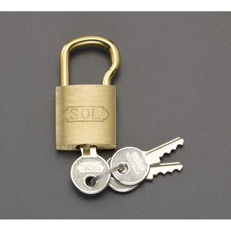 エスコ EA983TC-72 20mmシリンダー錠(18mm吊長/同一キー) 1個（ご注文単位1個）【直送品】