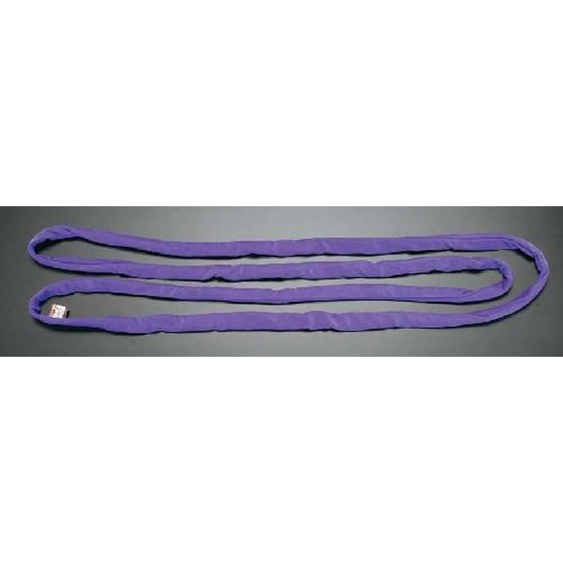 エスコ EA981DG-5 24mmx5.0m/1.0tonベルトスリング(エンドレス) 1個（ご注文単位1個）【直送品】