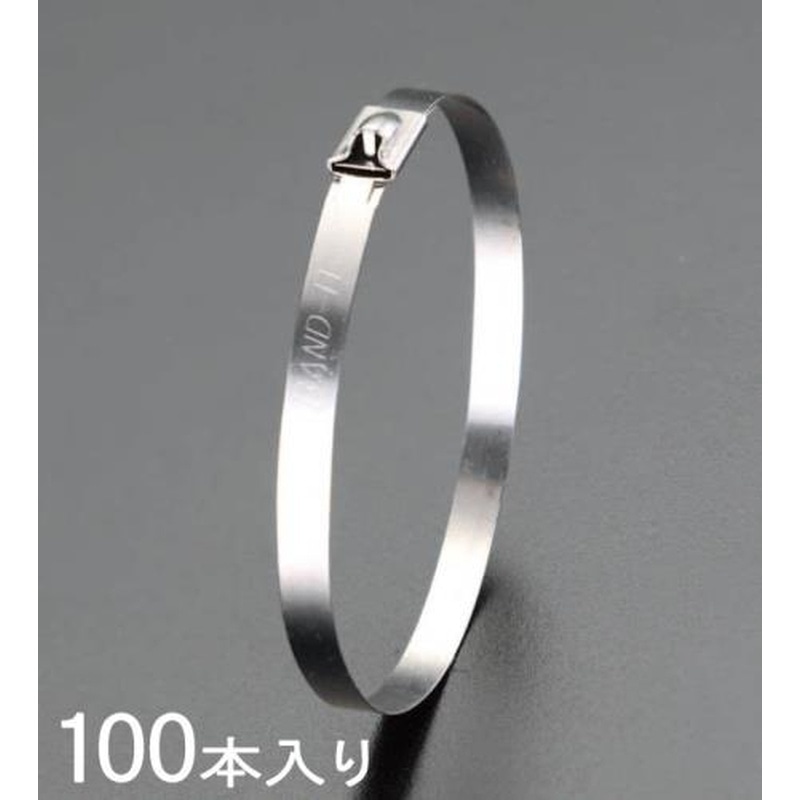 エスコ EA463FM-14 4.6x520mm結束バンド(SUS304/100本) 1個（ご注文単位1個）【直送品】