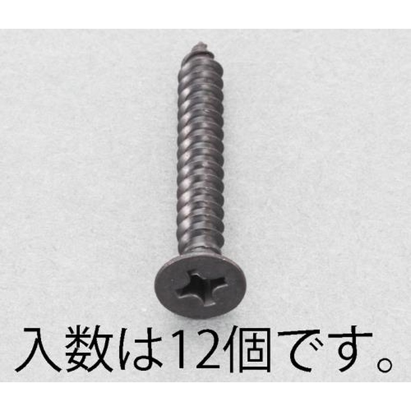 エスコ EA949AS-550 5x50mm皿頭タッピングビス(ステンレス/黒色/12本) 1個（ご注文単位1個）【直送品】